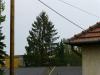 H:Mezőkövesd>Nachbarsbaum1 H:Mezőkövesd>Nachbarsbaum1