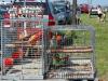 H:Ónod>Pferdemarkt 8 H:Ónod>Pferdemarkt 8