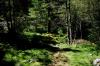 Wanderung im Seebachtal / Mallnitz 3 Wanderung im Seebachtal / Mallnitz 3