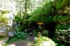 Wanderung im Seebachtal / Mallnitz Wanderung im Seebachtal / Mallnitz