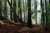 Nationalpark Jasmund 8 Nationalpark Jasmund 8