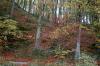 08 Sellin Wanderung 038 800 08 Sellin Wanderung 038 800
