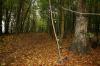 15 Sellin Wanderung 800074 15 Sellin Wanderung 800074