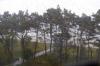 Regen in Binz Regen in Binz