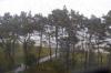 Regen in Binz