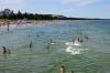 Binz1-2 Binz1-2
