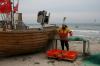 Binz Hering (14).JPG 800 Binz Hering (14).JPG 800