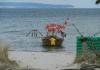 Binz Hering (9).JPG 800 Binz Hering (9).JPG 800
