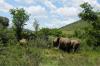 Pilanesberg-34