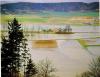 k-April 83, die Altmühl hat den gesamten Talraum überschwemmt k-April 83, die Altmühl hat den gesamten Talraum überschwemmt