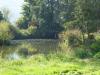an der Altmühl, Sept. 2014 an der Altmühl, Sept. 2014