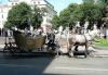 Lemberg > Busse Lemberg > Busse