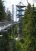 Scheidegg >Skywalk Aufzugsturm