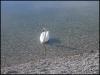Ausflug zum Ammersee 8 Ausflug zum Ammersee 8