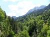 D:Bayern>Neuschwanstein011 D:Bayern>Neuschwanstein011