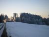 ANRIED > Saulacher Berg > Wald ANRIED > Saulacher Berg > Wald