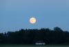 Erdbeermond Erdbeermond