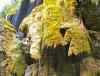 AMMERTAL zwi. Bad Bayersoien u. Saulgrub > Wanderung 3 AMMERTAL zwi. Bad Bayersoien u. Saulgrub > Wanderung 3