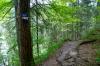 AMMERTAL zwi. Bad Bayersoien u. Saulgrub > Wanderung AMMERTAL zwi. Bad Bayersoien u. Saulgrub > Wanderung