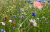 Endlich Sommer und wie 3 Endlich Sommer und wie 3