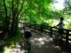Zwischen Starnberg und Andechs, Radlausflug Zwischen Starnberg und Andechs, Radlausflug