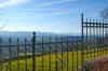 PEIßENBERG > Wanderung auf den Hohen Peißenberg 3 PEIßENBERG > Wanderung auf den Hohen Peißenberg 3