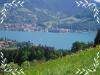Blick zum Tegernsee Blick zum Tegernsee