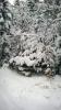 Wintermärchen Wintermärchen