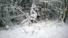 Wintermärchen Wintermärchen