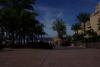 FIESTA FLORAL > Hotel Playa Paraiso
