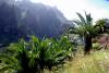 MASCA-TAL MASCA-TAL