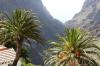 P1000797 P1000797