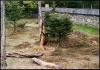 NEUSCHÖNAU > Nationalpark Bayerischer Wald > Bärengehege NEUSCHÖNAU > Nationalpark Bayerischer Wald > Bärengehege