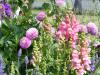 Landesgartenschau in Deggendorf Landesgartenschau in Deggendorf