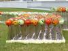 Landesgartenschau in Deggendorf Landesgartenschau in Deggendorf