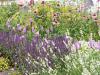 Landesgartenschau in Deggendorf Landesgartenschau in Deggendorf