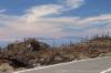 LAS CANADAS > TF-38 > Ausblick auf La Palma LAS CANADAS > TF-38 > Ausblick auf La Palma