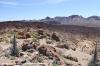 LAS CANADAS > Mirador El Tabonal Negro > Panoramablick L1 LAS CANADAS > Mirador El Tabonal Negro > Panoramablick L1