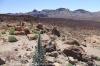 LAS CANADAS > Mirador El Tabonal Negro > Panoramablick L2 LAS CANADAS > Mirador El Tabonal Negro > Panoramablick L2