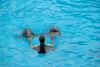 LORO PARQUE > 29_Delphinshow LORO PARQUE > 29_Delphinshow
