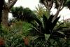 LORO PARQUE > Ein paar Eindrücke LORO PARQUE > Ein paar Eindrücke