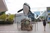 LORO PARQUE 2013 > 30_Orca Wal LORO PARQUE 2013 > 30_Orca Wal
