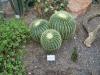 MANNHEIM > Tiere des Luisenparks 4 MANNHEIM > Tiere des Luisenparks 4