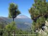 MIRADOR DE CHIPEQUE > Blick auf den Pico del Teide
