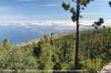 MIRADOR DE CHIPEQUE > Blick auf die Nordküste in Richtung El Sauzal