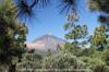 MIRADOR CRUCITA > Pforte zum Nationalpark Teide