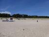 Usedom > Wald vor den Dünen bei Trassenheide und Strand 7