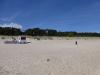 Usedom > Wald vor den Dünen bei Trassenheide und Strand 7