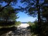 Usedom > Wald vor den Dünen bei Trassenheide und Strand 6