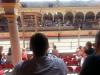 EUROPAPARK > Arena EUROPAPARK > Arena